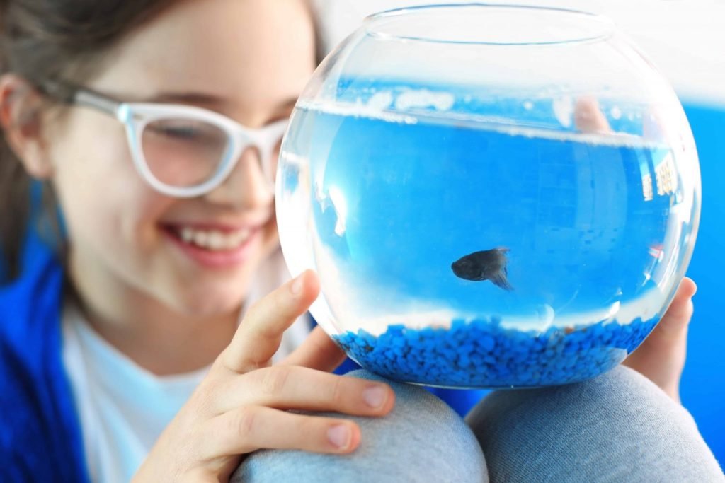 Best Fish Tanks for Kids and the Benefits of Aquariums for Children