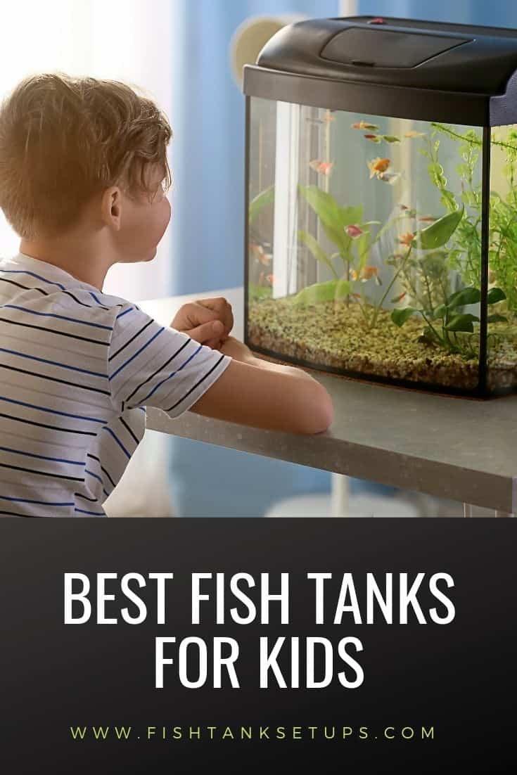 Best Fish Tanks for Kids and the Benefits of Aquariums for Children