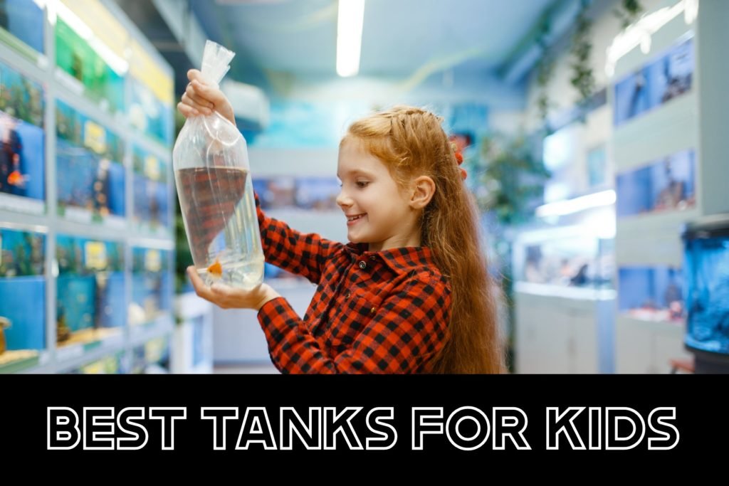 Best Fish Tanks for Kids: A Complete Buyers Guide – Fish Tank Setups - Small Fish Tanks For Kids