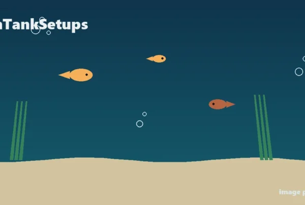 FishTankSetups placeholder image - pending proper dropsy treatment photo